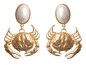 Preview: Stone Crab Ohrstecker
